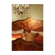Four Poster Mahogany US King Bed