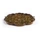 Scalloped Black Chinoiserie Tray