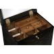 Ebonised Collectors Cabinet