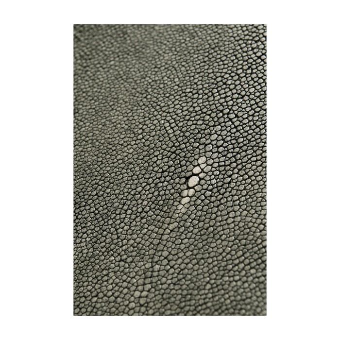 Faux Macassar Ebony & Anthracite Shagreen Console