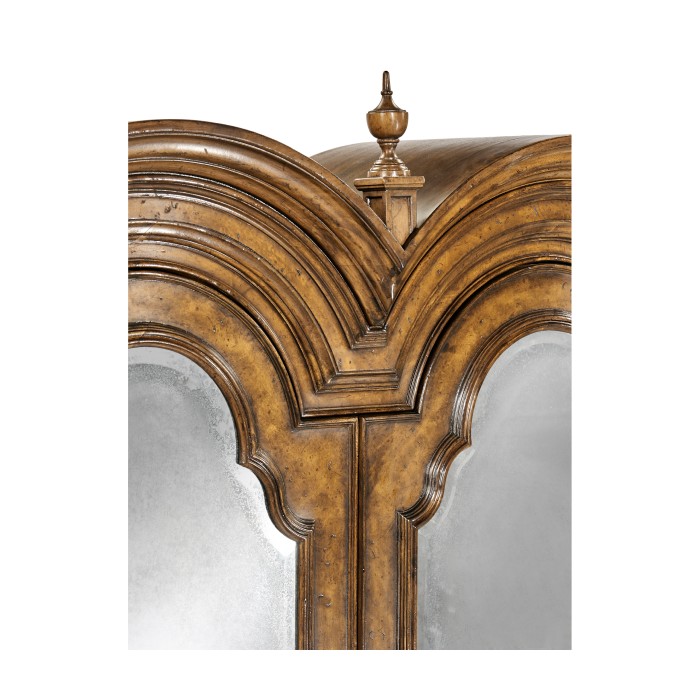 Queen Anne Pollard Bureau Cabinet with Mirrored Doors