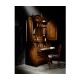 Queen Anne Pollard Bureau Cabinet with Mirrored Doors