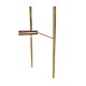 Console table in Tropical walnut crotch with brass base