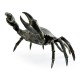 Dark Bronze Crab