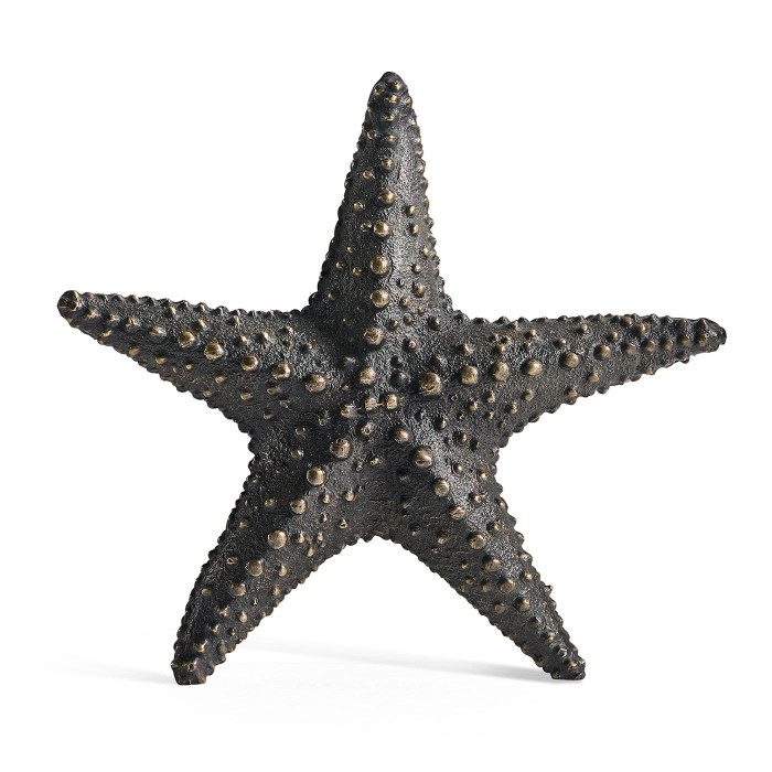 Dark Bronze Starfish