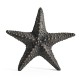 Dark Bronze Starfish