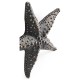 Dark Bronze Starfish