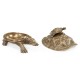 Anitque Light Brown Brass Turtle Container