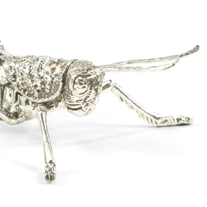 White Brass Grasshopper