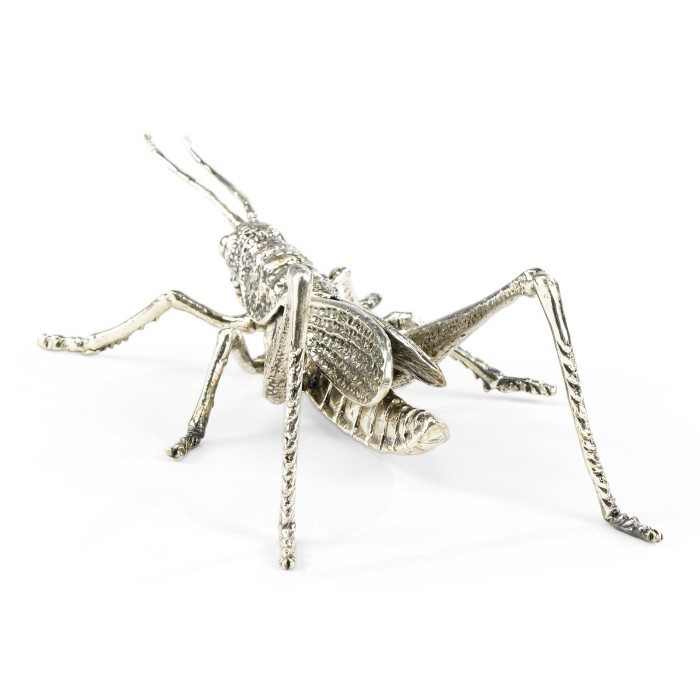White Brass Grasshopper