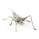 White Brass Grasshopper