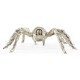 White Brass Turantula