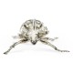 White Brass Five-Horned Rhinoceros Beetle