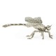 White Brass Dragonfly