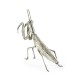White Brass Praying Mantis