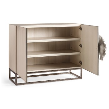 Cynaria 2 Door Cabinet